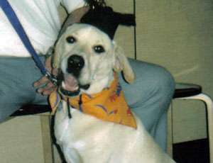 Buddy