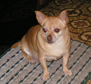 Tiny