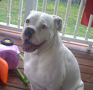 Sampson